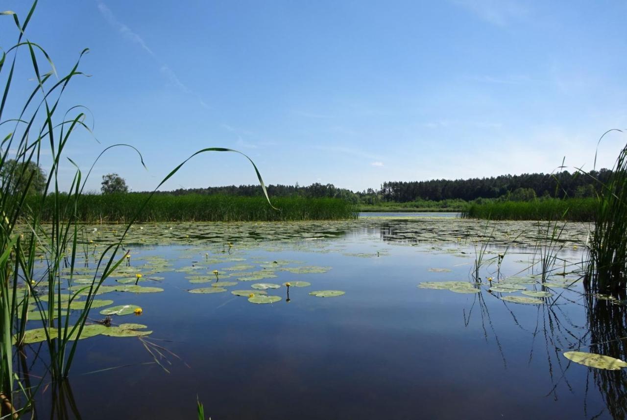 Ferienanlage Waschbaer Country Темплин Екстериор снимка