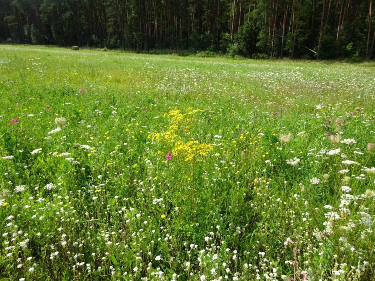 Ferienanlage Waschbaer Country Темплин Екстериор снимка