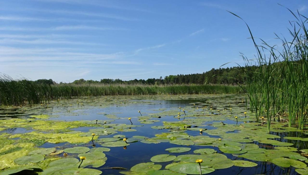 Ferienanlage Waschbaer Country Темплин Екстериор снимка
