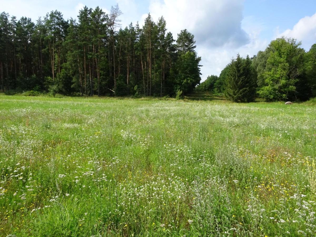 Ferienanlage Waschbaer Country Темплин Екстериор снимка